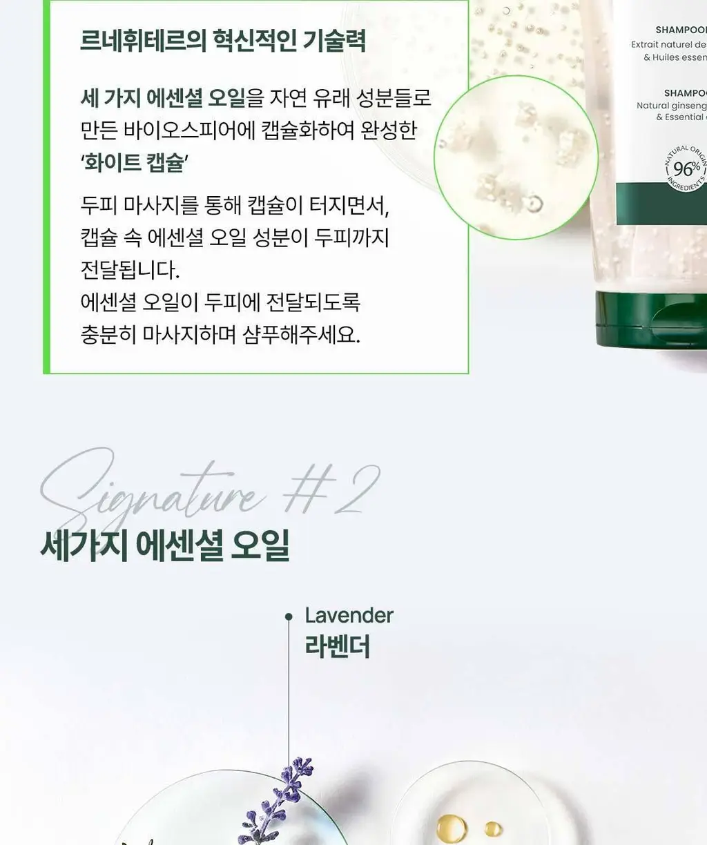 [두피 영양 케어] 르네휘테르 트리파직 두피 영양 앰플 샴푸 250ml 상세페이지 6